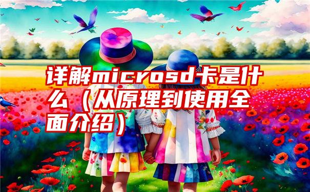 详解microsd卡是什么（从原理到使用全面介绍）