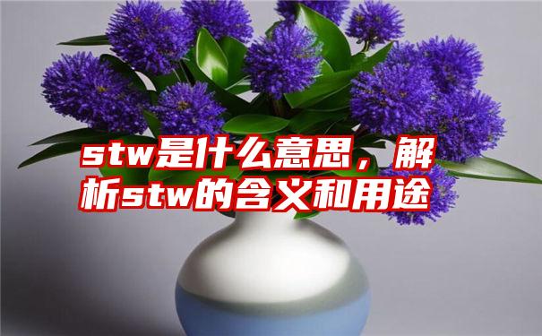 stw是什么意思，解析stw的含义和用途