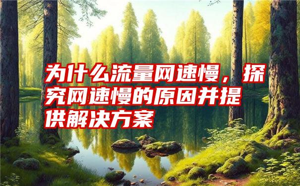 为什么流量网速慢，探究网速慢的原因并提供解决方案