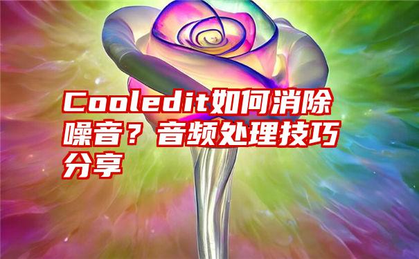 Cooledit如何消除噪音？音频处理技巧分享