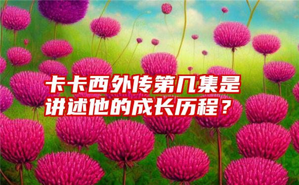 卡卡西外传第几集是讲述他的成长历程？