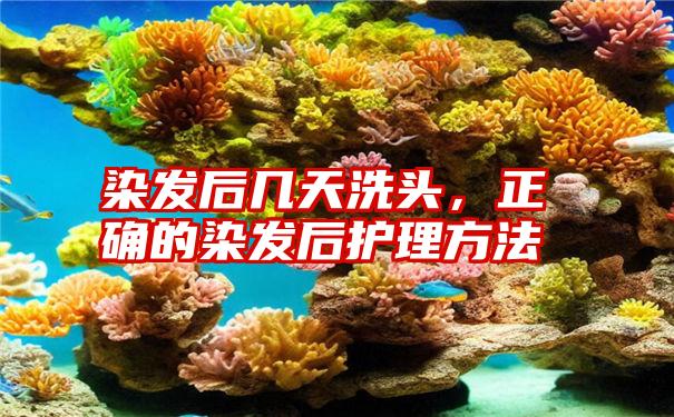 染发后几天洗头，正确的染发后护理方法