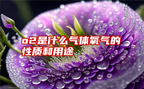 o2是什么气体氧气的性质和用途