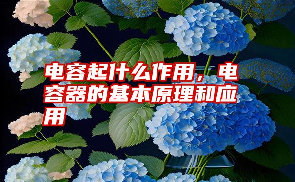 电容起什么作用，电容器的基本原理和应用