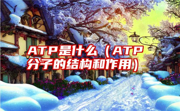 ATP是什么（ATP分子的结构和作用）