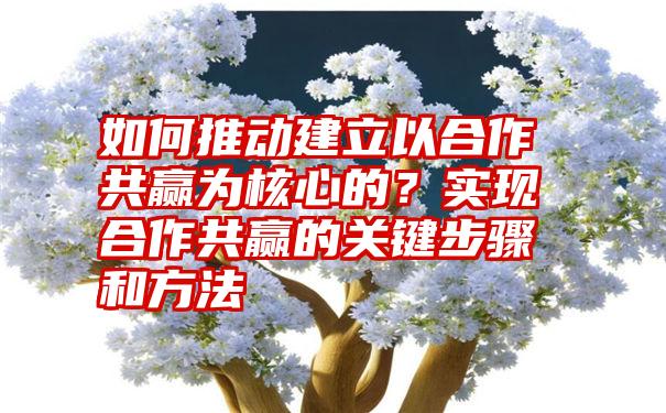 如何推动建立以合作共赢为核心的？实现合作共赢的关键步骤和方法