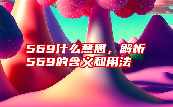 569什么意思，解析569的含义和用法