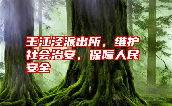 王江泾派出所，维护社会治安，保障人民安全