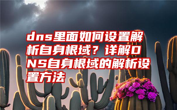 dns里面如何设置解析自身根域？详解DNS自身根域的解析设置方法