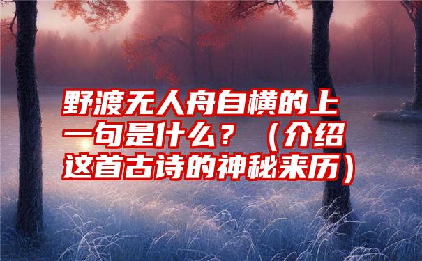 野渡无人舟自横的上一句是什么？（介绍这首古诗的神秘来历）