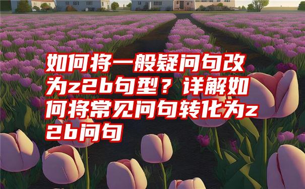 如何将一般疑问句改为z2b句型？详解如何将常见问句转化为z2b问句