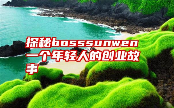 探秘bosssunwen一个年轻人的创业故事