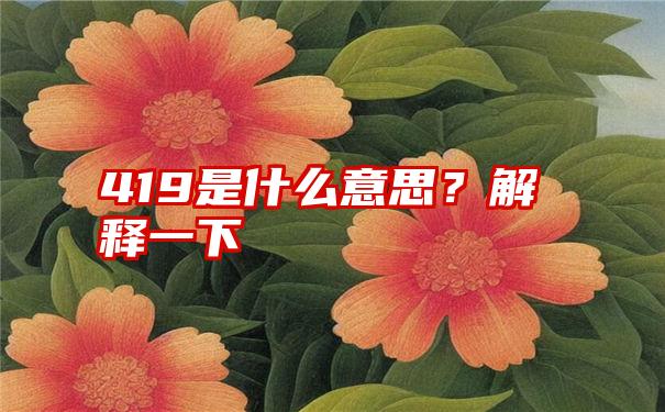 419是什么意思？解释一下