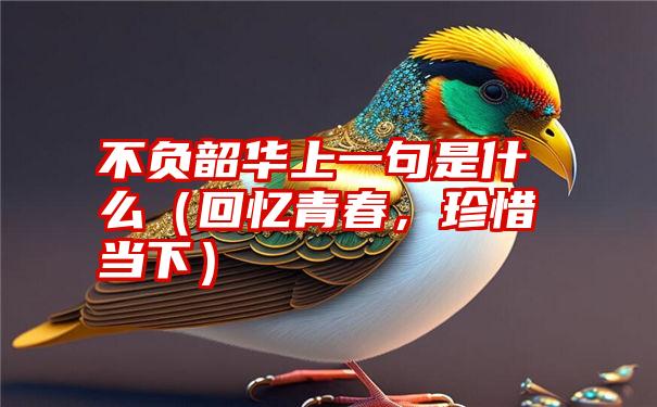 不负韶华上一句是什么（回忆青春，珍惜当下）