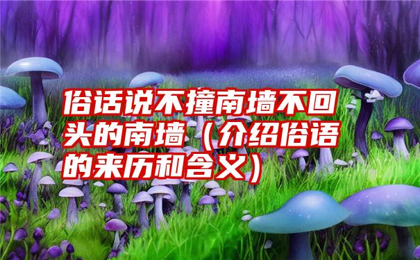 俗话说不撞南墙不回头的南墙（介绍俗语的来历和含义）