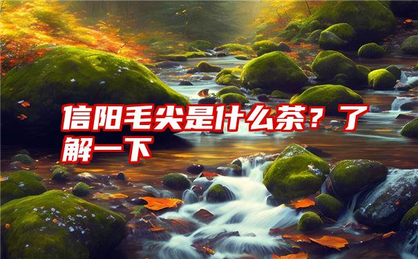 信阳毛尖是什么茶？了解一下