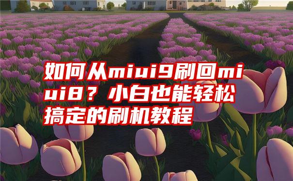 如何从miui9刷回miui8？小白也能轻松搞定的刷机教程