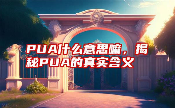 PUA什么意思嘛，揭秘PUA的真实含义