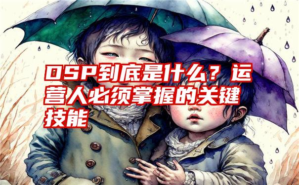 DSP到底是什么？运营人必须掌握的关键技能