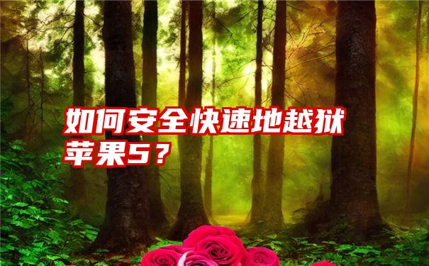 如何安全快速地越狱苹果5？