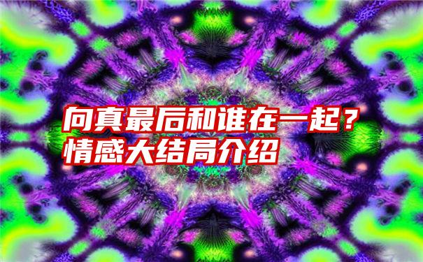 向真最后和谁在一起？情感大结局介绍