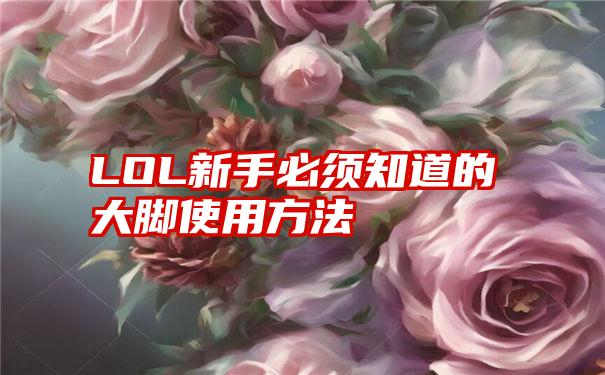 LOL新手必须知道的大脚使用方法