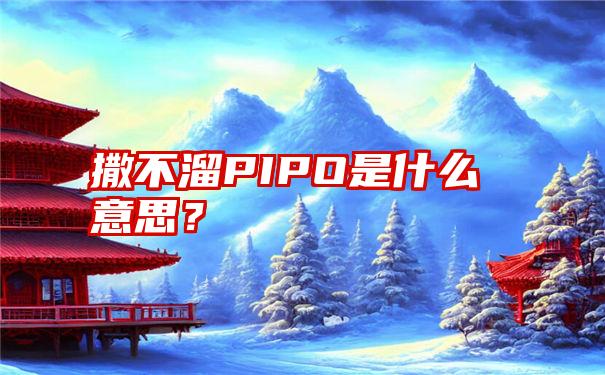 撒不溜PIPO是什么意思？