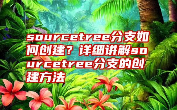 sourcetree分支如何创建？详细讲解sourcetree分支的创建方法