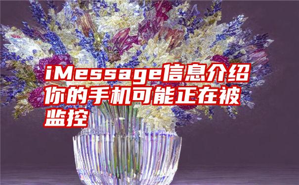 iMessage信息介绍你的手机可能正在被监控