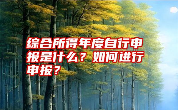 综合所得年度自行申报是什么？如何进行申报？