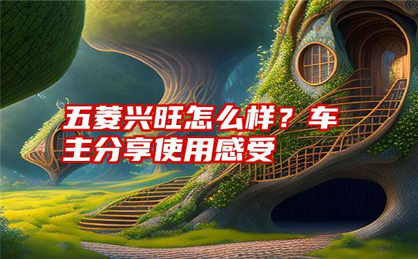 五菱兴旺怎么样？车主分享使用感受