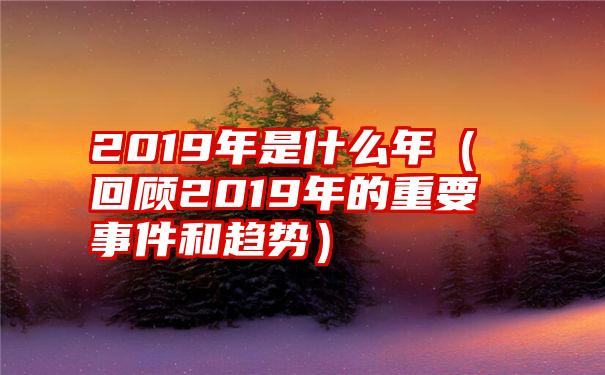 2019年是什么年（回顾2019年的重要事件和趋势）