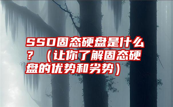 SSD固态硬盘是什么？（让你了解固态硬盘的优势和劣势）