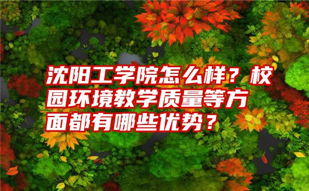 沈阳工学院怎么样？校园环境教学质量等方面都有哪些优势？