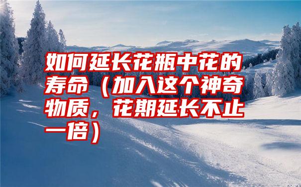 如何延长花瓶中花的寿命（加入这个神奇物质，花期延长不止一倍）