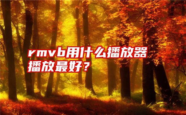 rmvb用什么播放器播放最好？