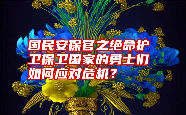 国民安保官之绝命护卫保卫国家的勇士们如何应对危机？