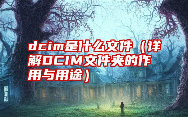 dcim是什么文件（详解DCIM文件夹的作用与用途）