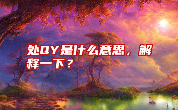 处QY是什么意思，解释一下？