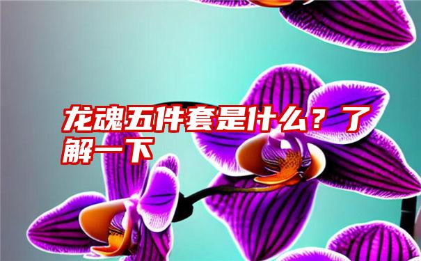 龙魂五件套是什么？了解一下