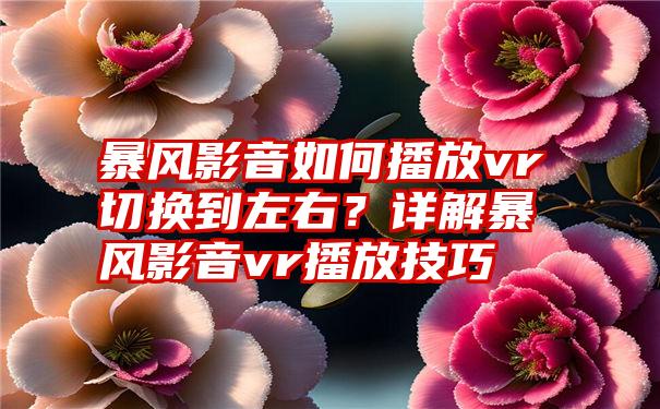 暴风影音如何播放vr切换到左右？详解暴风影音vr播放技巧