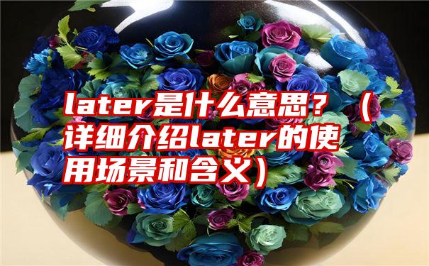 later是什么意思？（详细介绍later的使用场景和含义）