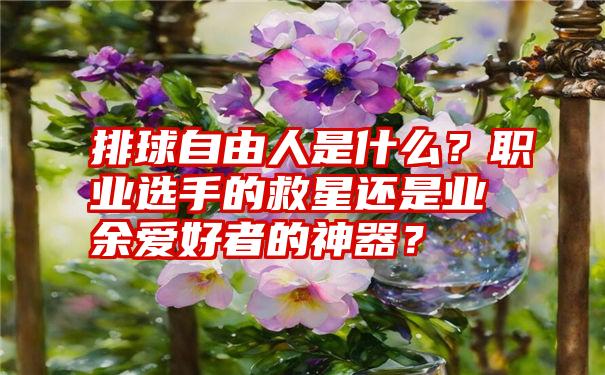 排球自由人是什么？职业选手的救星还是业余爱好者的神器？