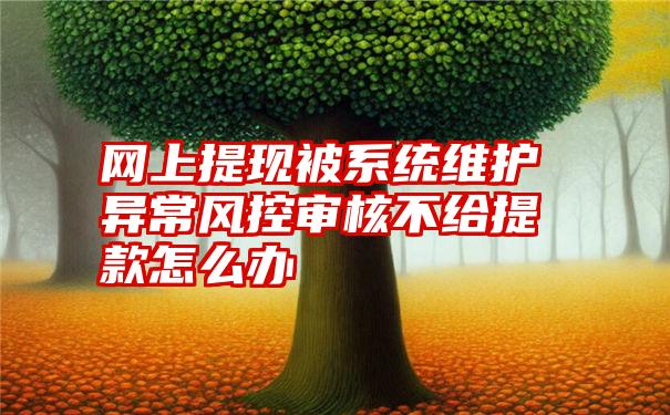 网上提现被系统维护异常风控审核不给提款怎么办