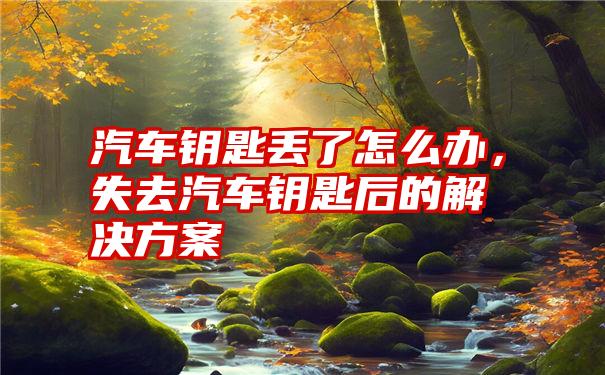 汽车钥匙丢了怎么办，失去汽车钥匙后的解决方案