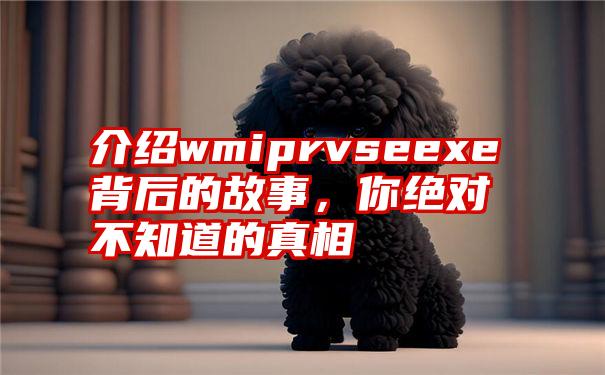 介绍wmiprvseexe背后的故事，你绝对不知道的真相