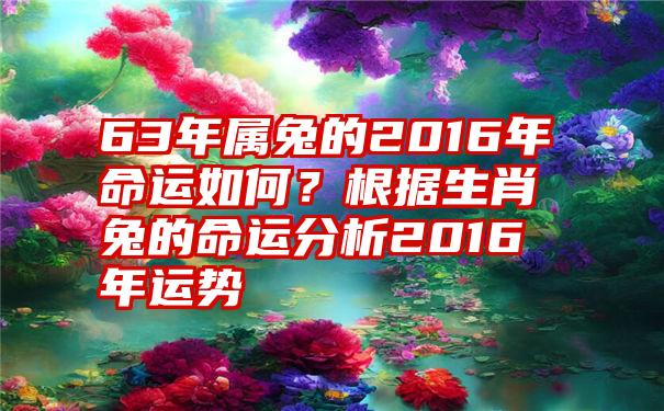 63年属兔的2016年命运如何？根据生肖兔的命运分析2016年运势