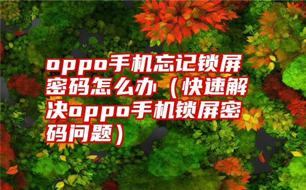 oppo手机忘记锁屏密码怎么办（快速解决oppo手机锁屏密码问题）