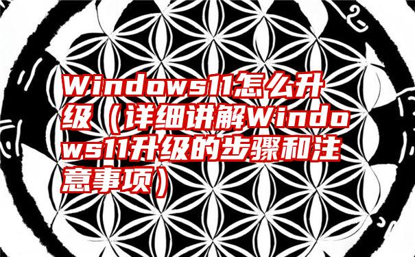 Windows11怎么升级（详细讲解Windows11升级的步骤和注意事项）