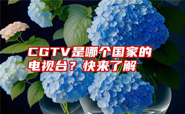 CGTV是哪个国家的电视台？快来了解